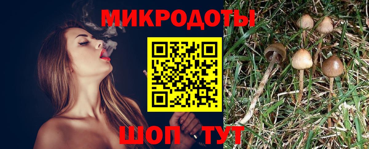 закладки  Псилоцибиновые грибы Psilocybine cubensis  Вход с VPN  Новороссийск  Псилоцибиновые грибы MAGIC MUSHROOMS 
